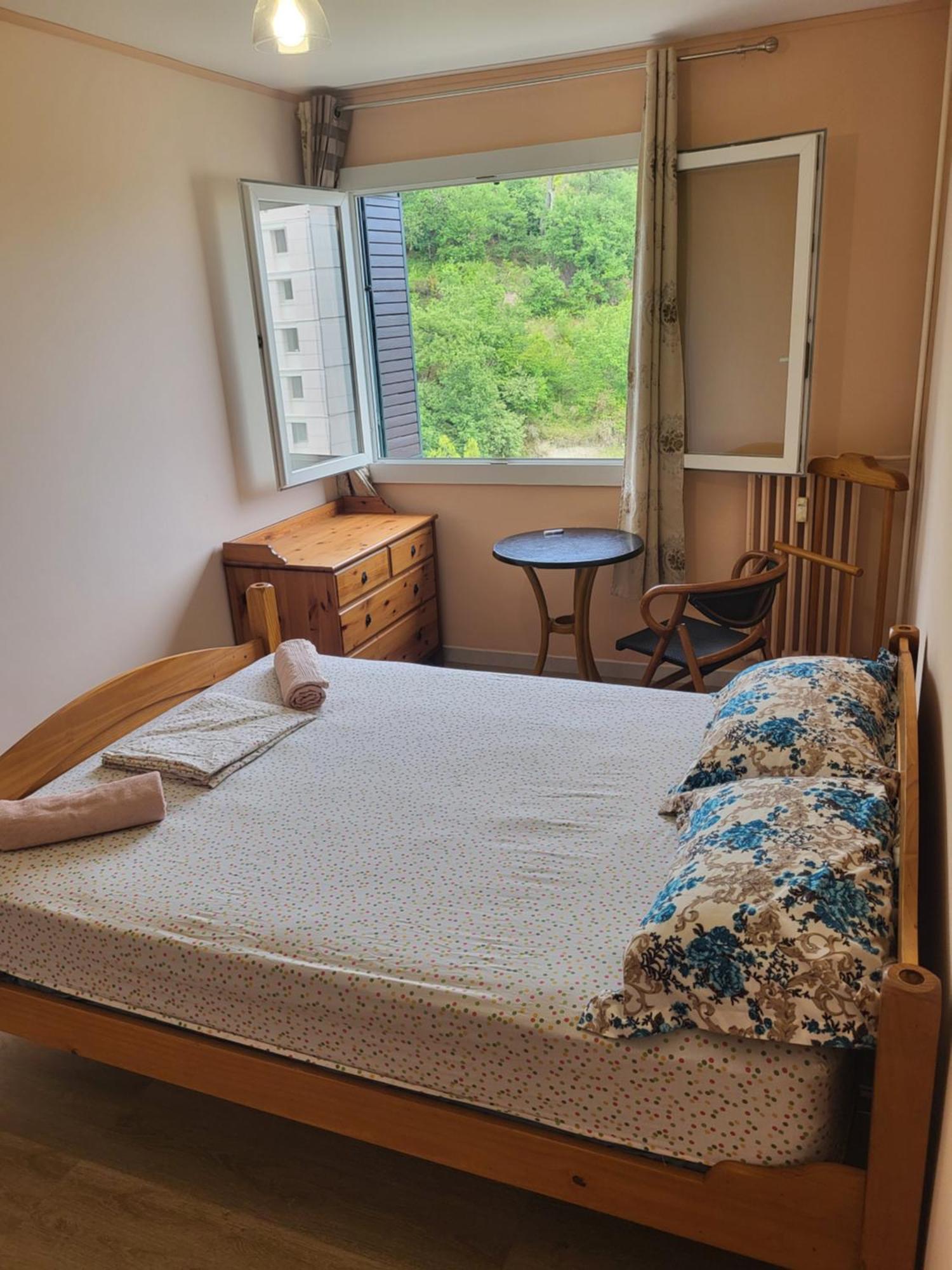 Homestay Private Room-1 In Hannana Apartment- 2 Min Walk To Tram 12 Min To Train Station 15 Min To Massena Place